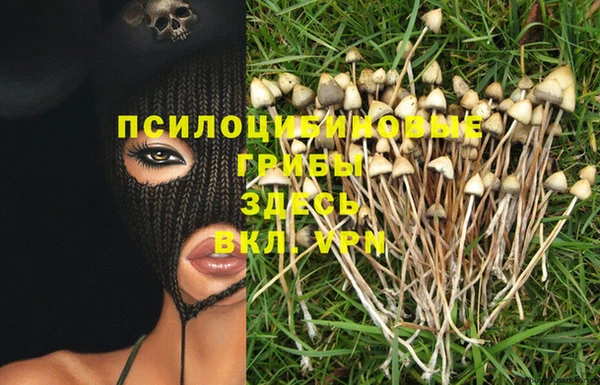 хмурый Новокубанск