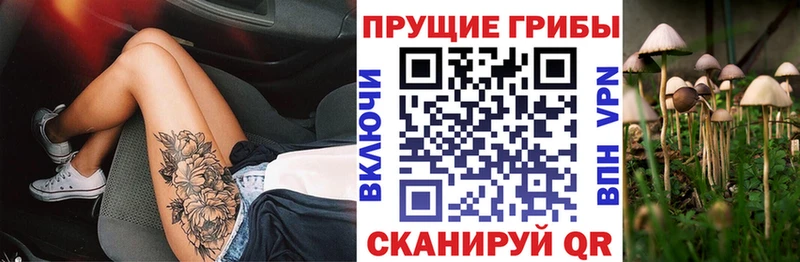 Псилоцибиновые грибы мицелий Моршанск